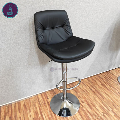 Double Seat Padded Bar Stool