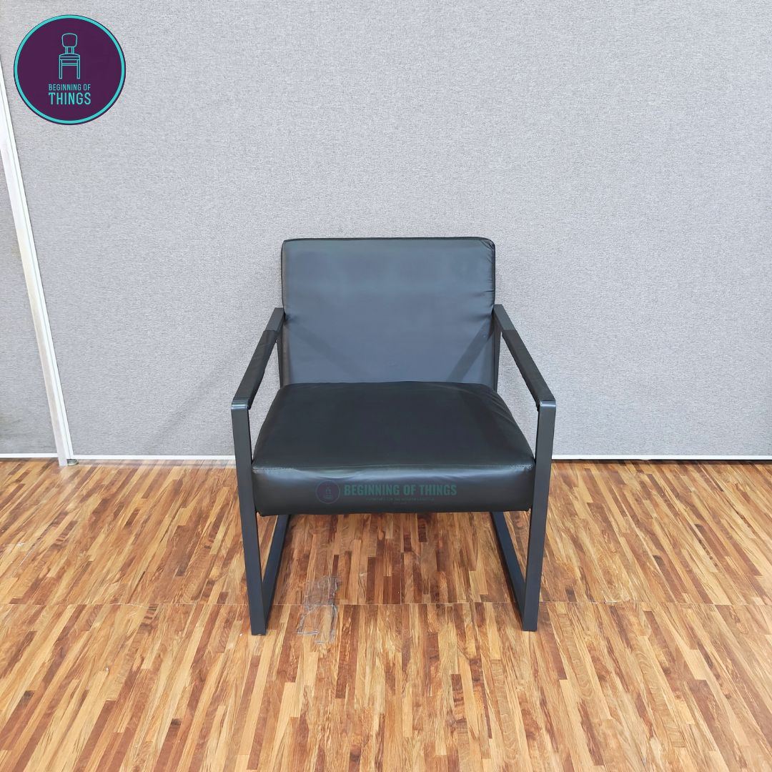 Lounge Chair with Metal Frame